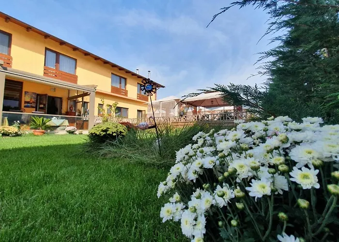 Sultan Mehmet Pensiune&Restaurant Brașov