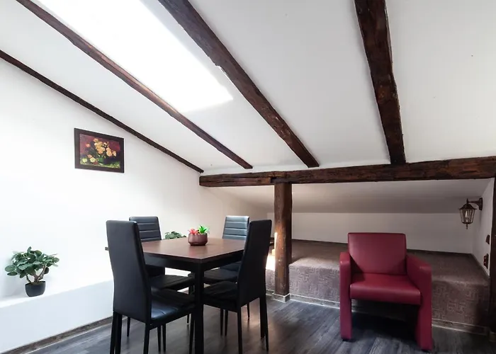 Little Paris Booutique In Old Town Center Brasov Apartment