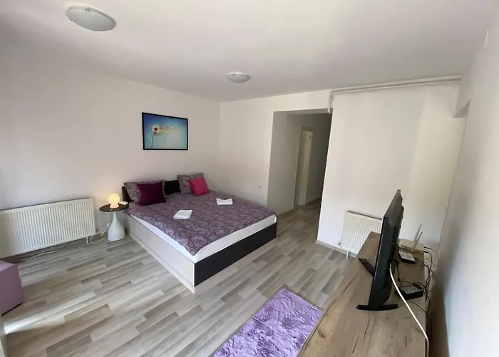 Central Studio Stefan-Brașov