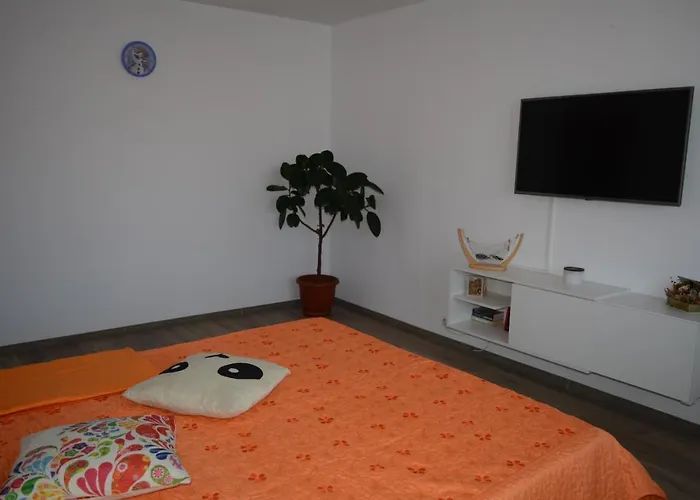 Apartament Spatios In Brașov