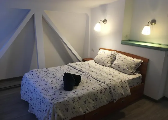 Fantasy Terasa Apartment Brașov