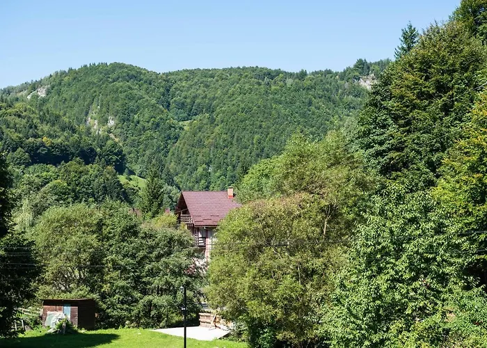 Oasis Mountain Villa Brașov