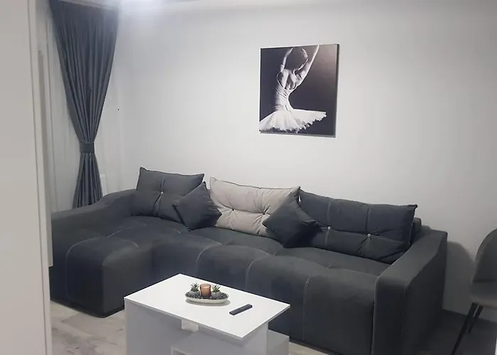 Cozy Apartament Brașov
