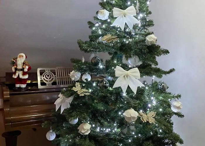 Casa Pino Hotel Brașov