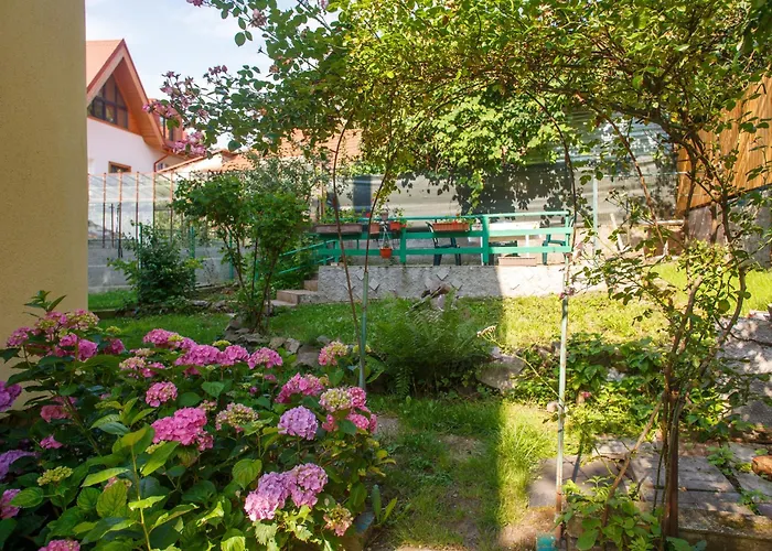 Barok Apartments Brașov