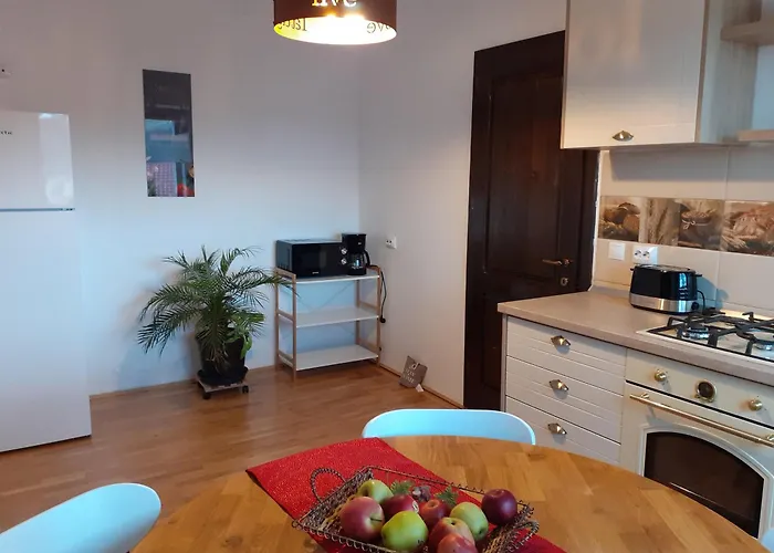 R-House Apartment Brașov