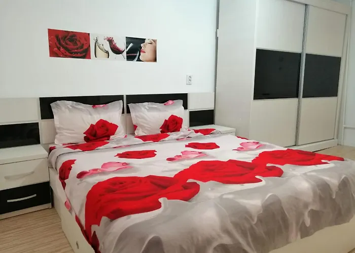Ursul Balu Apartment Brașov