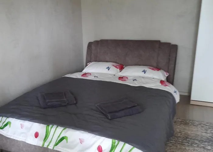 Garsoniera Astra Apartment Brașov