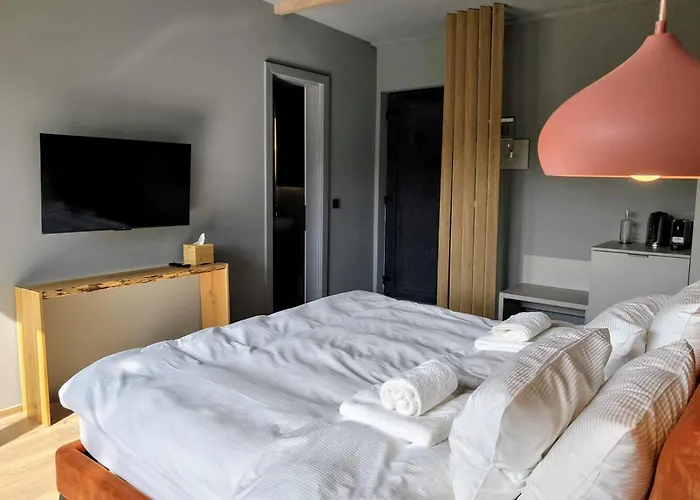 Celest Boutique Urban Hideaway Villa Brașov