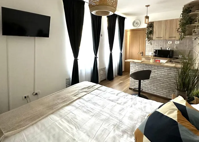 Zen Studio - Edge Of Old Town With Free Private Parking Brașov