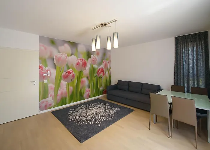 Apartamente Olivero Brașov